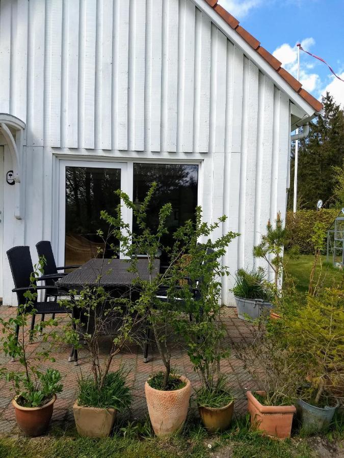 Villa Abildskovhus Feriebolig Funder Kirkeby Exterior foto